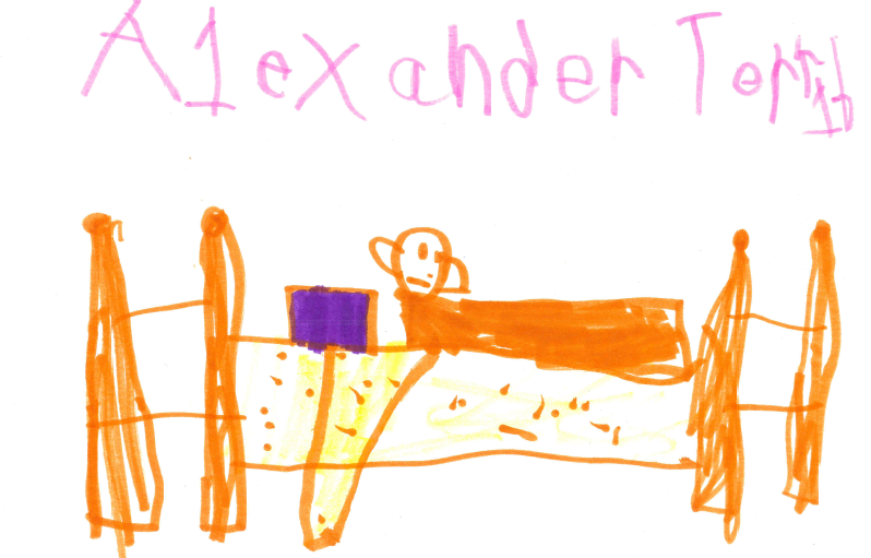 A drawing by Isabella, the cover of her book.
